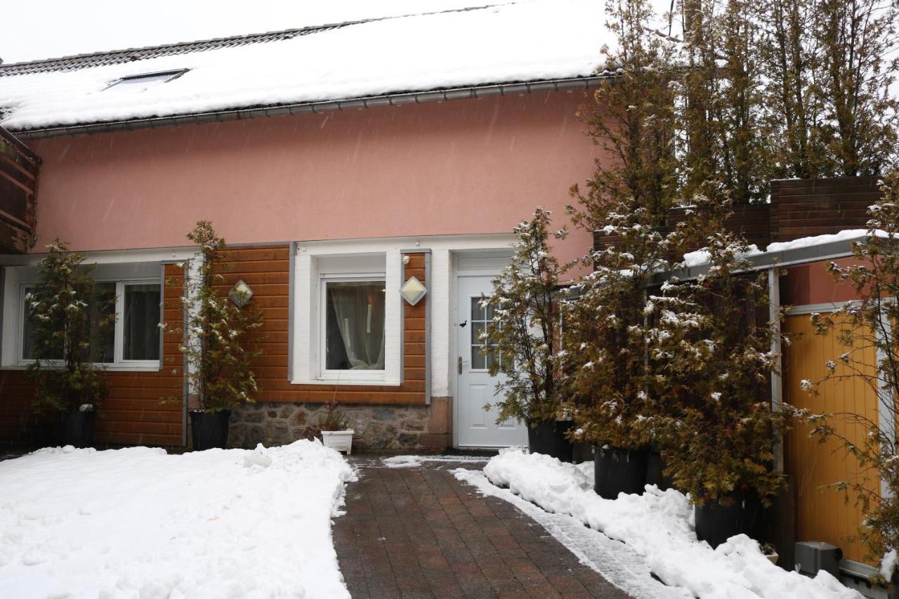 Duplex, 2 Sdb, 2 Chambres, Dans Impasse En Centre-ville Appartement Gérardmer
